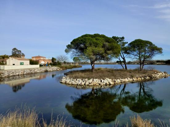 Port Camargue