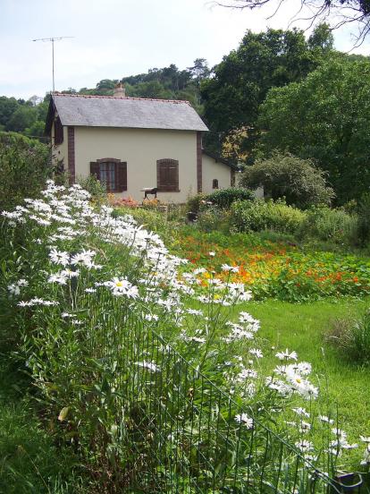 jardin coloré