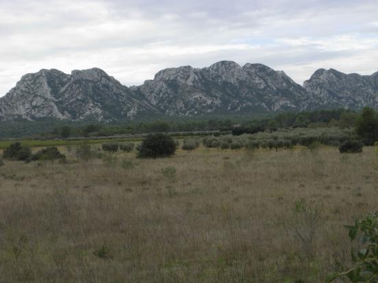 Les Alpilles