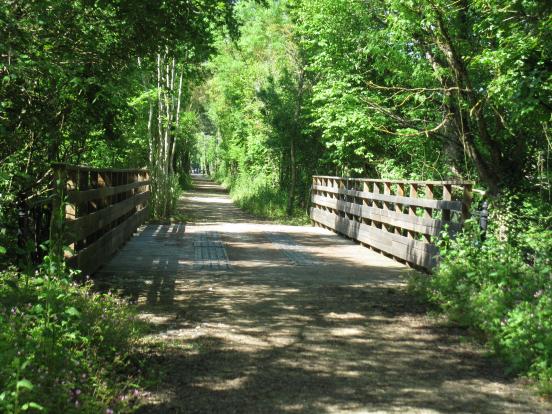 Pont de bois