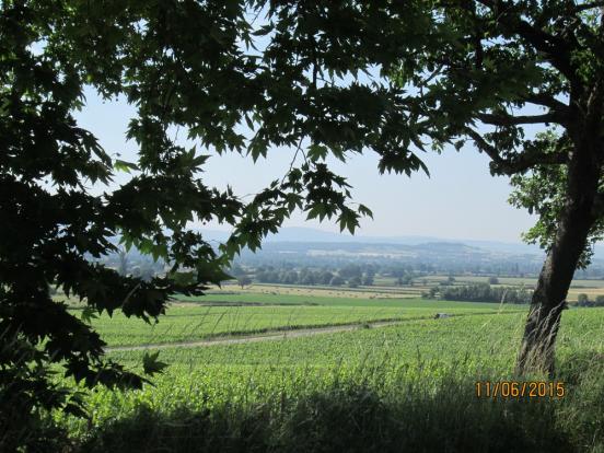 Paysage de Saône et Loire