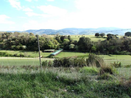 Stands de tir