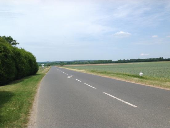 Pimprez