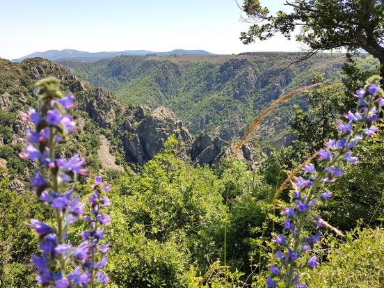 Gorges du Chassezac