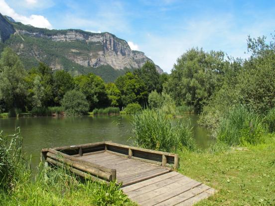 Marais de Montfort