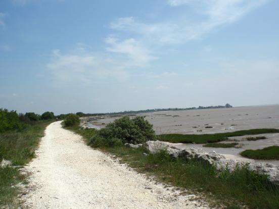 Chemin blanc