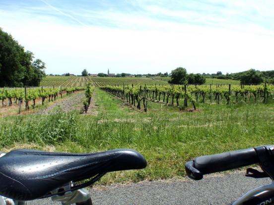 Côtes de Blaye