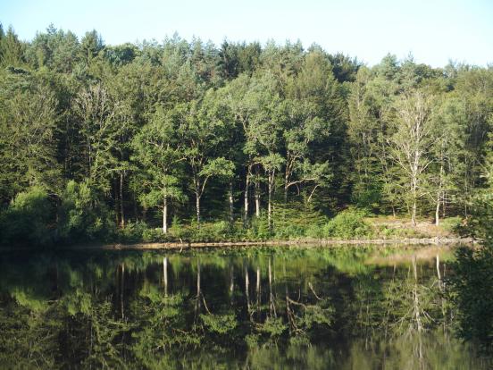 Etang avant Sarran