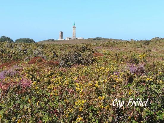 Cap Fréhel