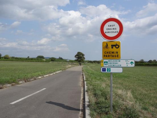 Spécificité locale