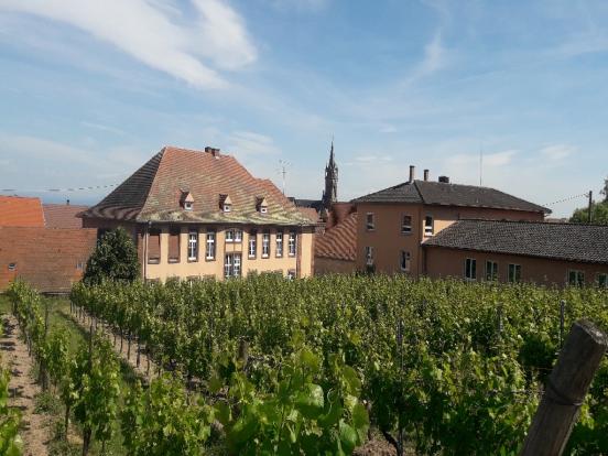 Dambach-la-Ville