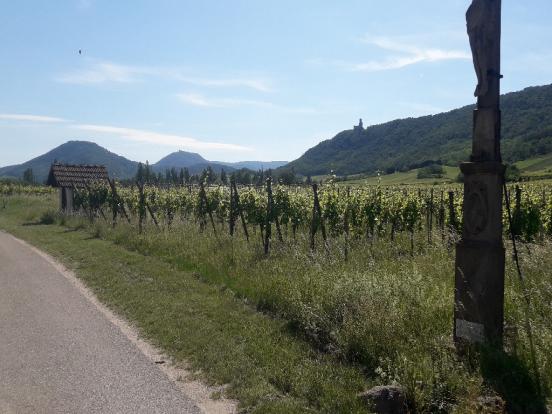 Vignes et châteaux
