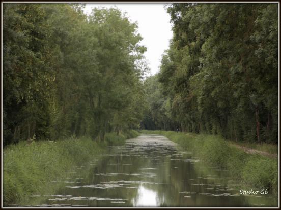 Chemin de halage (2)