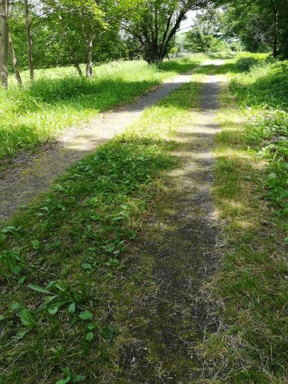 Voie verte Prat/Caumont à l'abandon...