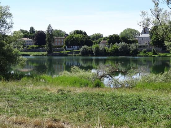 Bords de Saône