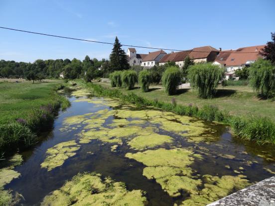 Un affluent de la Meuse