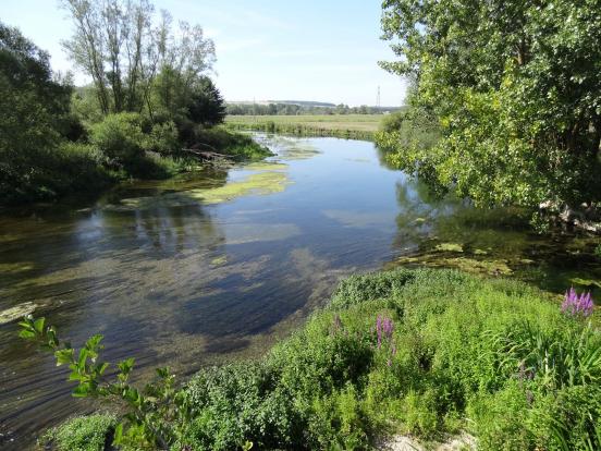 Meuse à Sorcy St-Martin