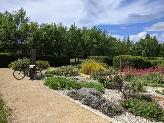 Arboretum  de  Jonquières