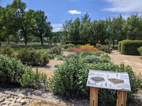 Arboretum  de  Jonquières