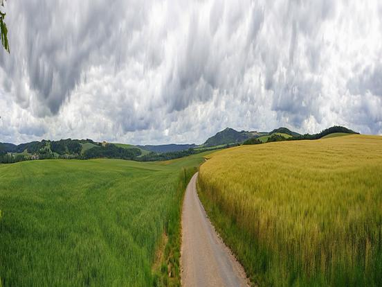 Sur les hauteurs de Meuse