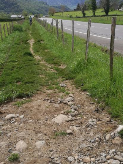 Voie ou impasse verte ? 