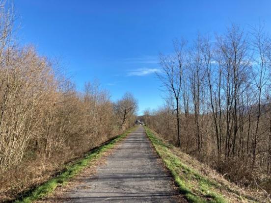km1 : dans les bois