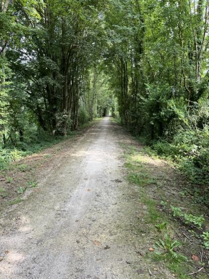 Tunnel de verdure 1