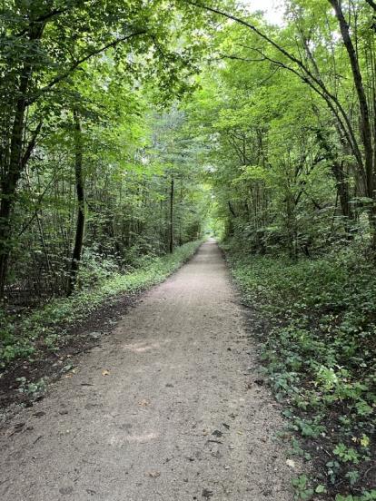 Tunnel de verdure 2