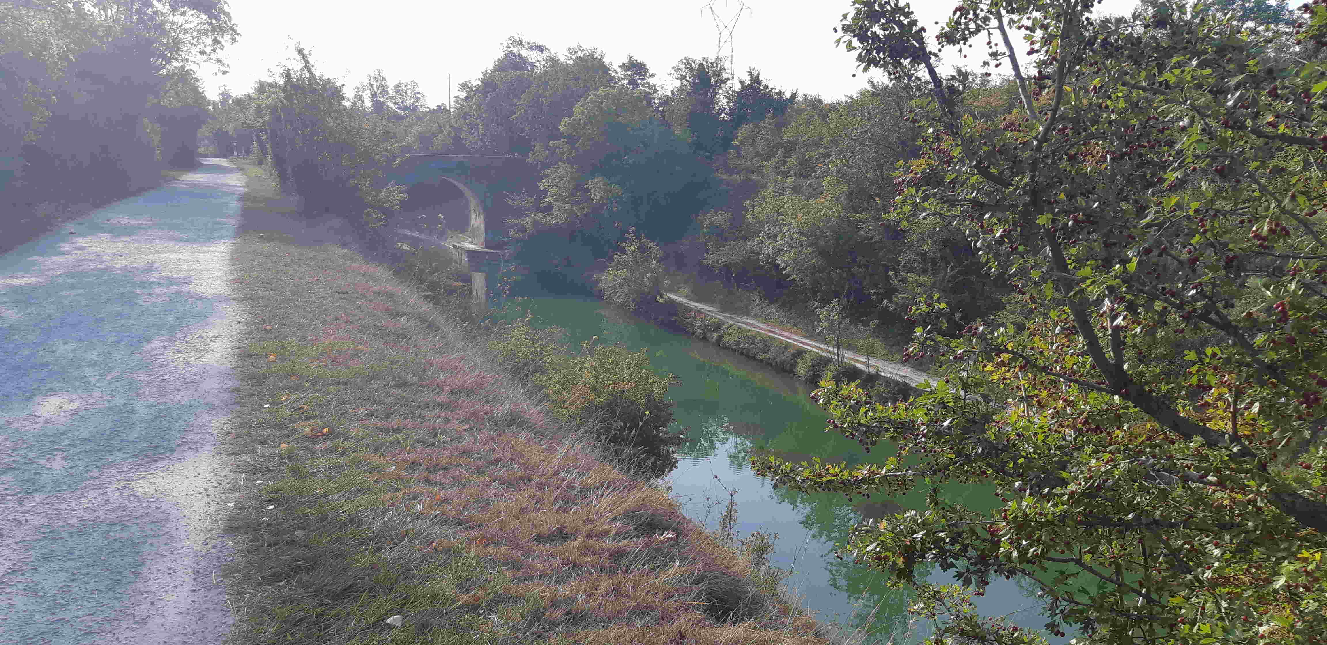 Voie verte près du canal à Dompierre-sur-Mer