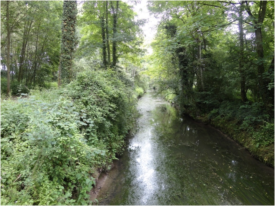 la Marque