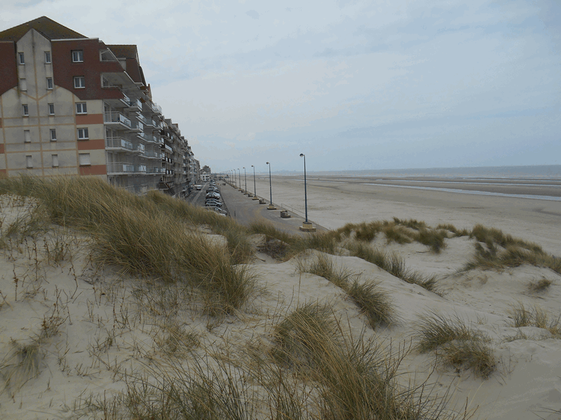 Dunes à Bray Dunes 2