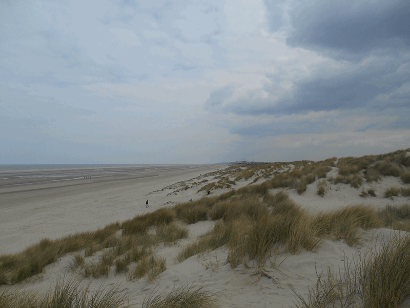 Dunes à Bray Dunes