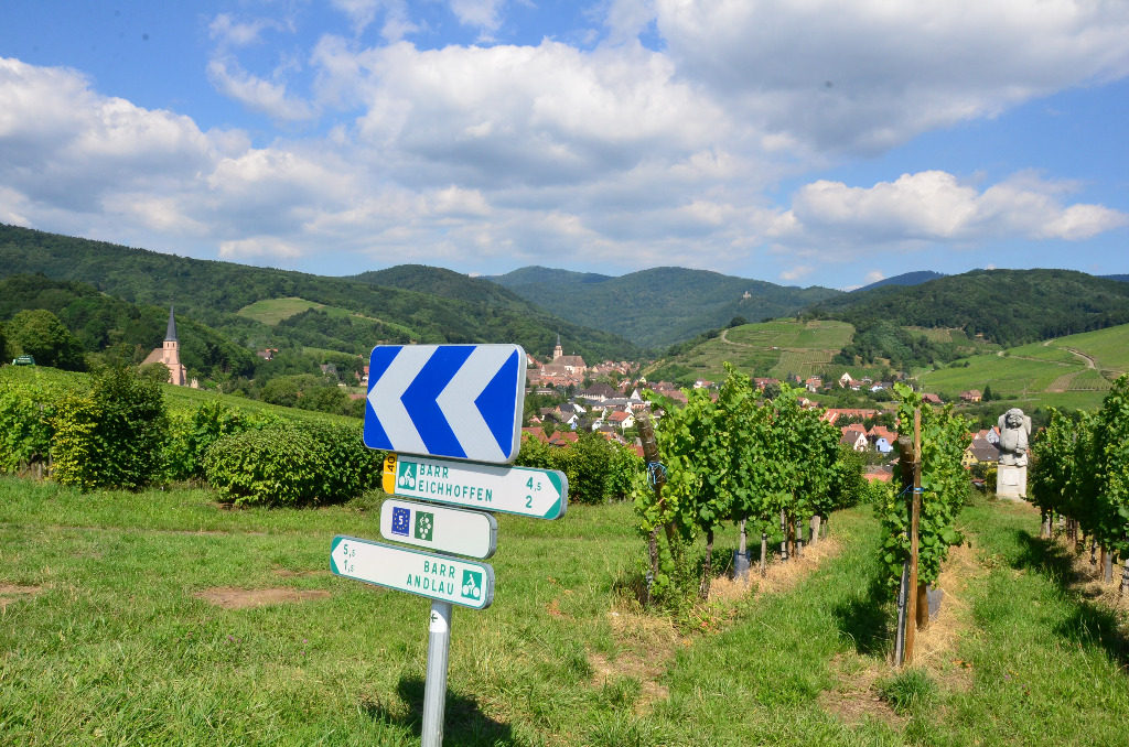 Andlau panneaux au milieu du vignoble