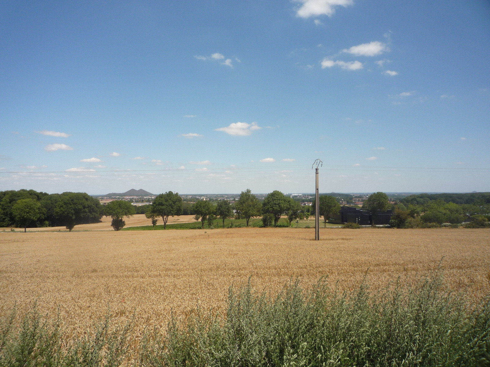 Souchez, vue sur les terrils 