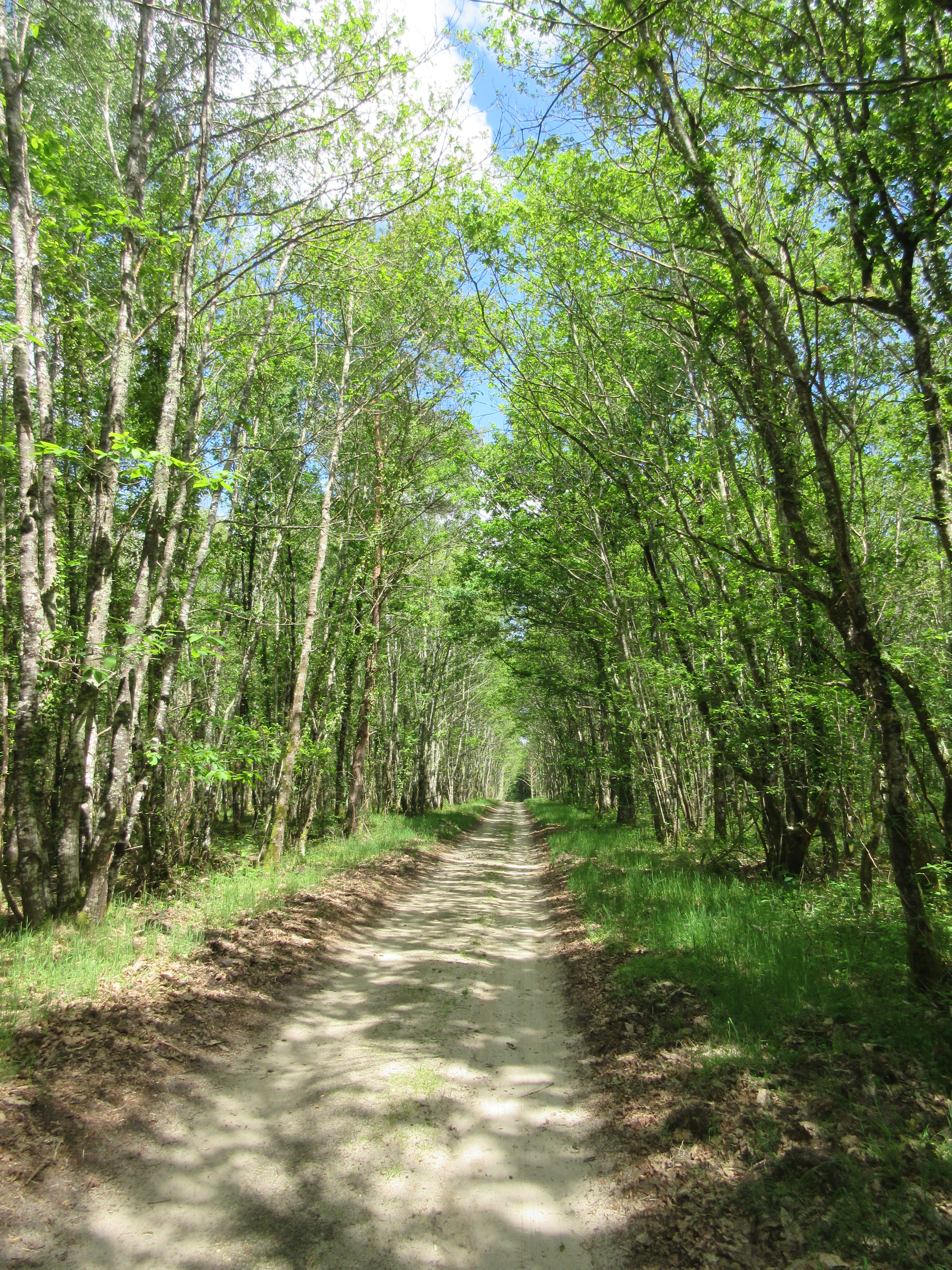 Sologne à vélo sale