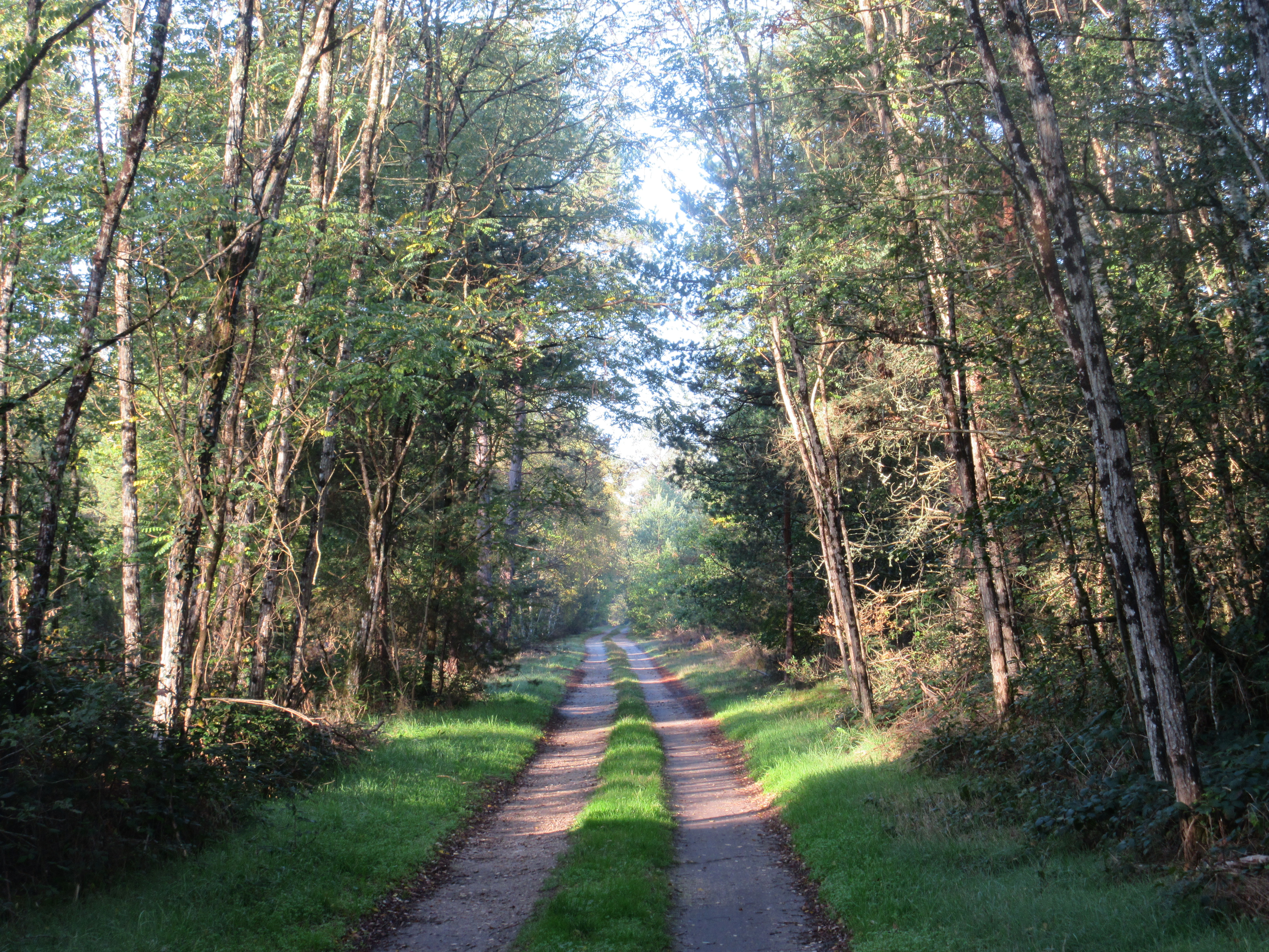 Vers Nouan-le-Fuzelier