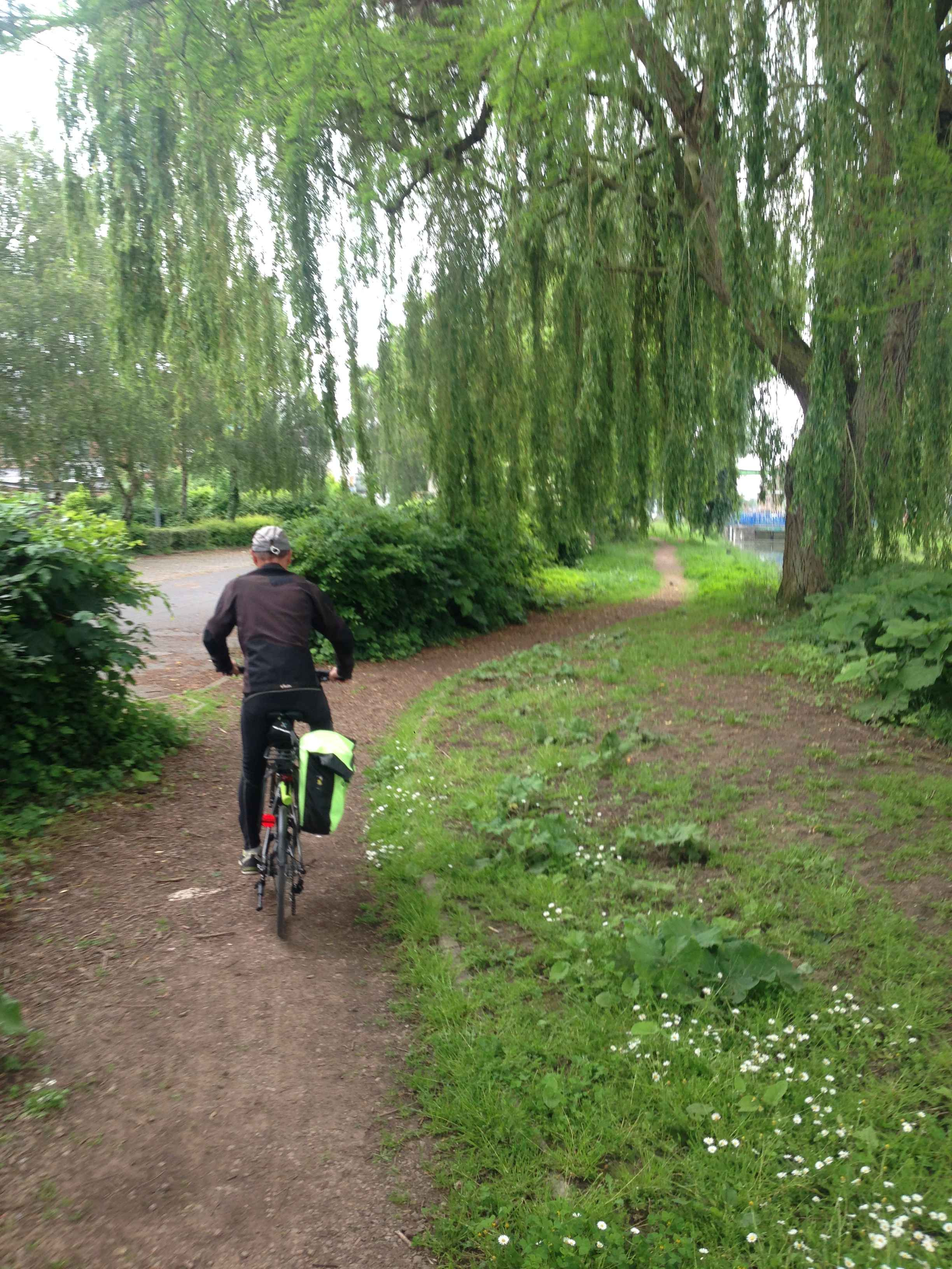 Chemin à Merville