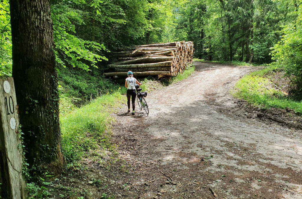 Bois Fargout montée vers la frontière