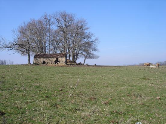 habitat rural
