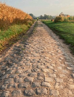route pavée