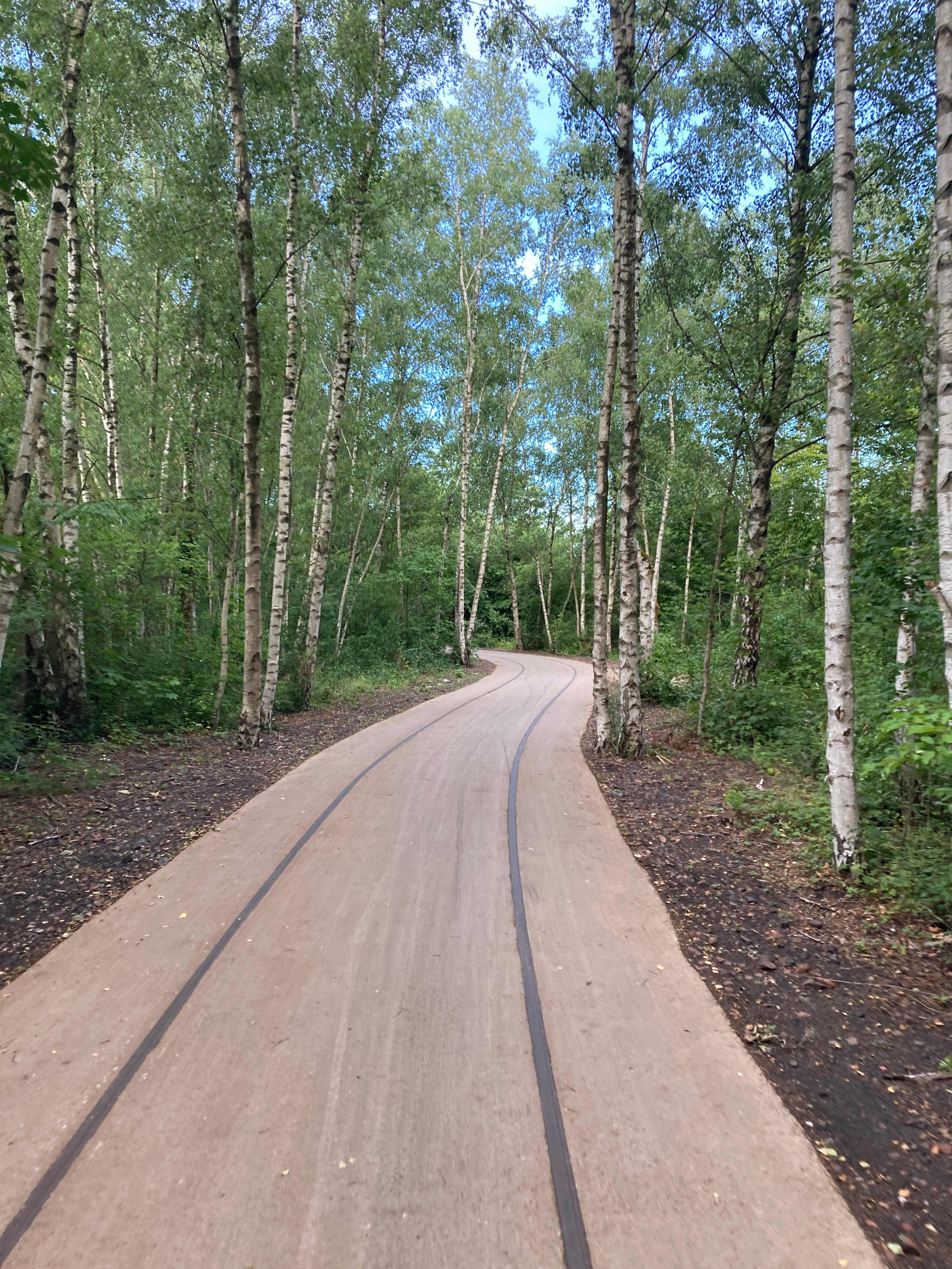 Voie verte dans les bois